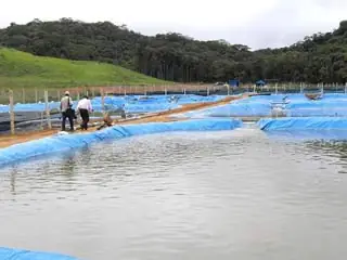 Cá Hồi Đà Lạt