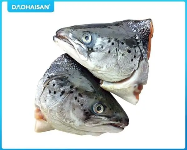 Giá Đầu Cá Hồi