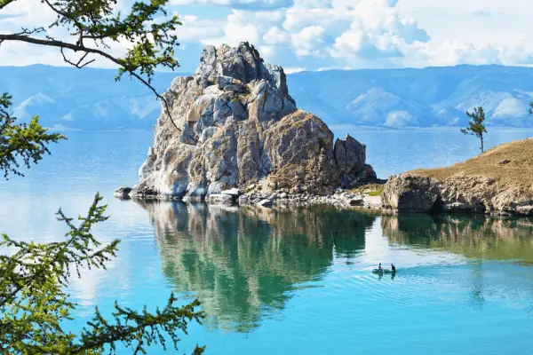Cá Hồi Trắng Omul: Loài Cá Đặc Sản Vùng Nước Lạnh Siberia