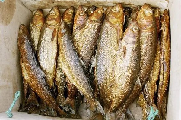 Cá Hồi Trắng Omul: Loài Cá Đặc Sản Vùng Nước Lạnh Siberia