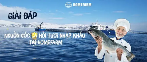 Giải Đáp Về Nguồn Gốc Cá Hồi Tươi Nhập Khẩu Tại Homefarm