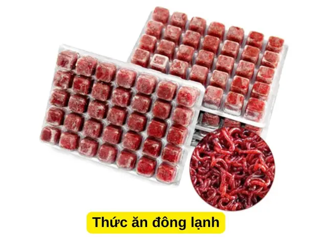 Thức Ăn Đông Lạnh