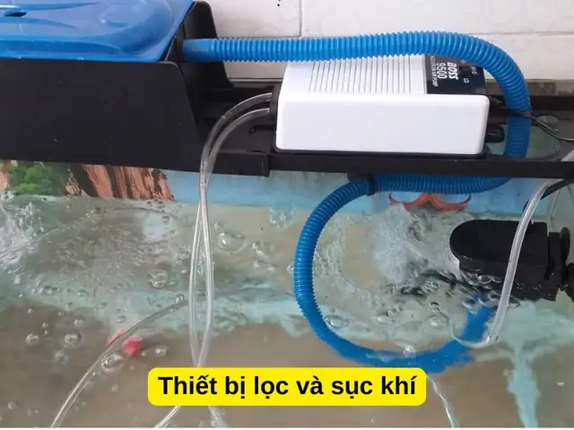 Thiết Bị Lọc Và Sục Khí