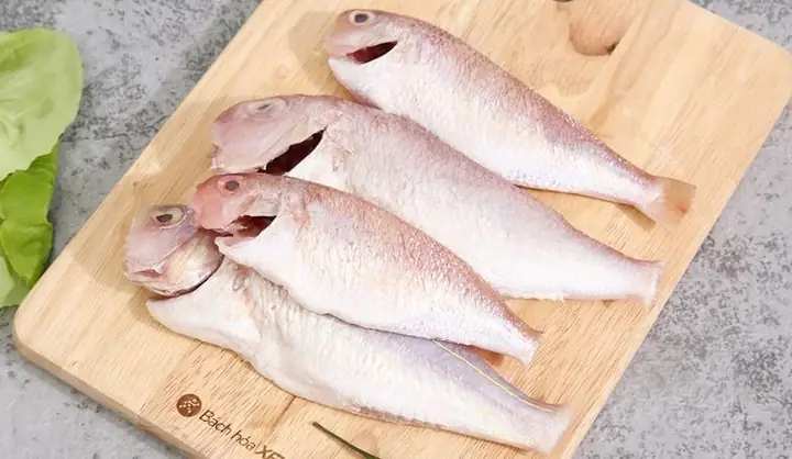 Cá Hương Là Gì? Loài Cá Mang Hương Vị Đặc Biệt Của Vùng Sông Nước