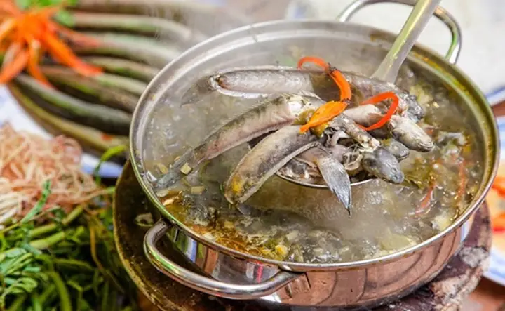 Cá Kèo Tiếng Anh Là Gì? Tổng Hợp Thông Tin Về Loài Cá Đặc Sản Miền Tây