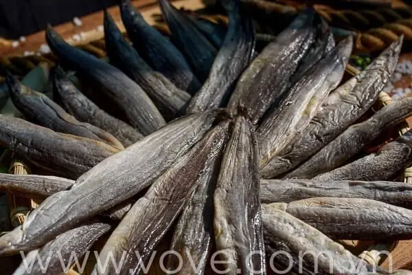 Cá Kèo Và Cá Chạch