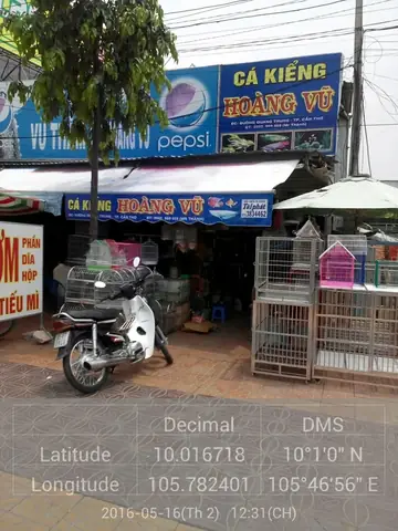 Cá Kiểng Hoàng Vũ: Bí Mật Đằng Sau Thương Hiệu Cá Cảnh Được Yêu Thích
