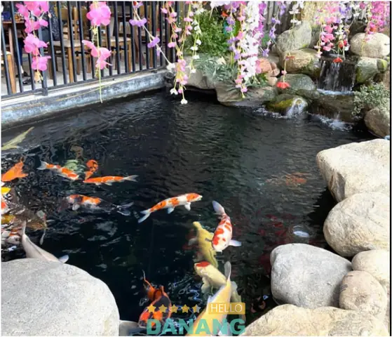 Koi Garden Coffee