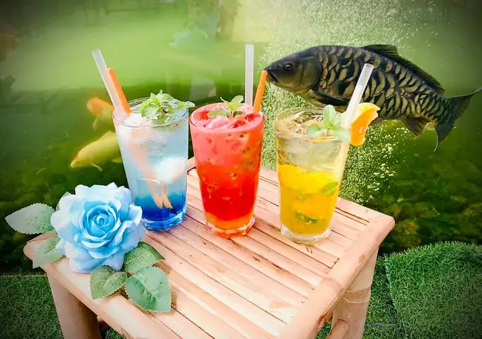 Cafe Mỹ Gia Koi