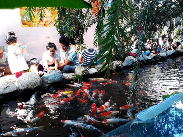 Đặc Điểm Nổi Bật Của Cafe Cá Koi – Sân Vườn Thôi Kệ