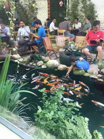 Sg Cafe Thuỷ Mộc – Cafe Cá Koi