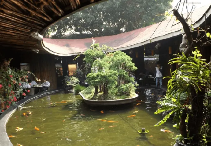 Ellip Cafe - Quán Cà Phê Cá Koi Quận Gò Vấp