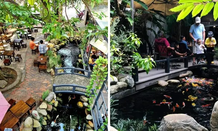 Vườn Xưa – Koi Cafe