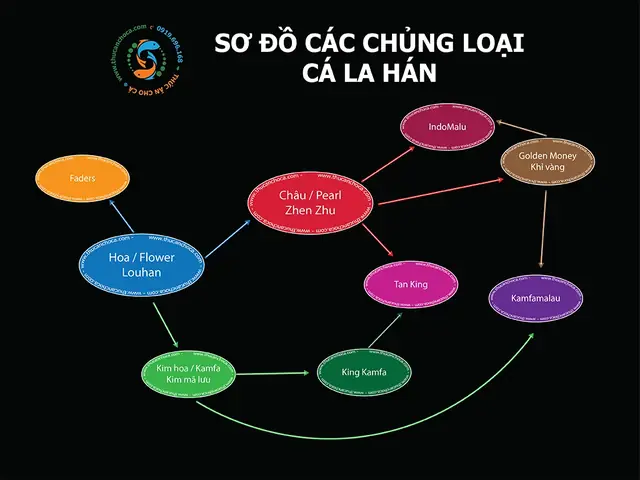 Cá La Hán Có Chữ