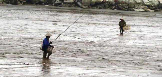 Nghề Câu Cá Lác Độc Đáo Ở Hải Phòng