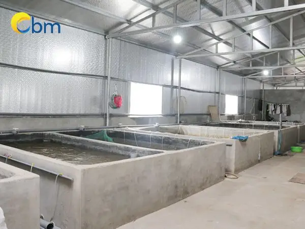 Quy Trình Nhập - Xuất Con Giống Tại Thủy Sản Bảo Minh