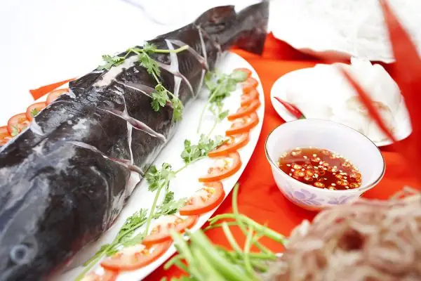 Nhu Cầu Nuôi Cá Lăng Tại Việt Nam