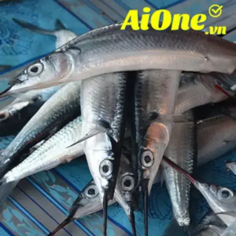 Nguồn Gốc Và Tên Gọi Của Cá Lìm Kìm Biển