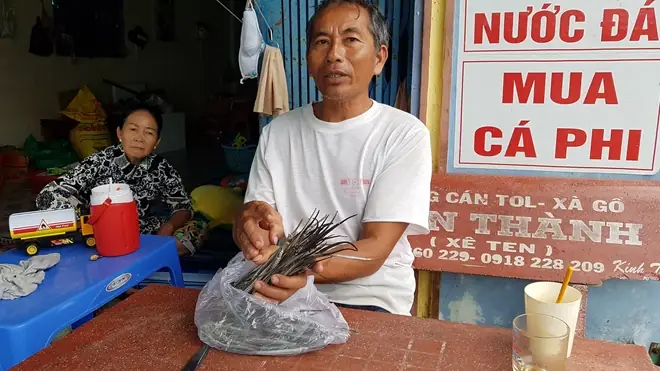 Cá Lìm Kìm Gai