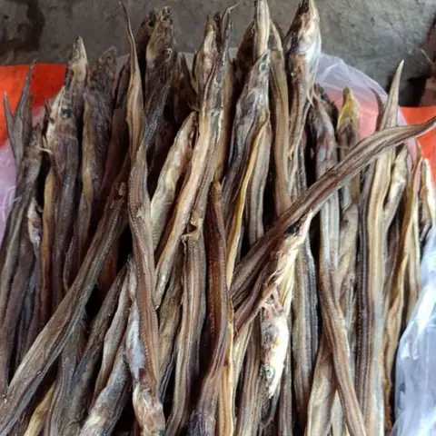 Cá Lìm Kìm Nước Ngọt Hay Nước Mặn