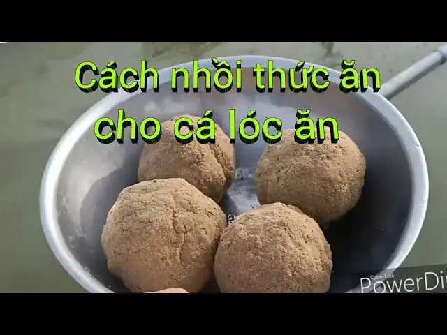 Cá Lóc Ăn Gì? Hướng Dẫn Đầy Đủ Về Thức Ăn & Chế Độ Dinh Dưỡng
