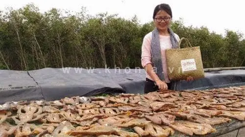 Ưu Nhược Điểm Của Cá Lóc Phơi Khô Và Khô Cá Lóc Sấy: