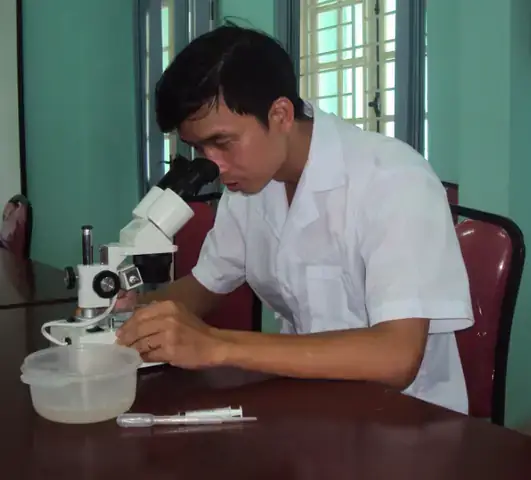 Môi Trường Sống Tự Nhiên Và Tập Tính Của Cá Lóc Môi Trề