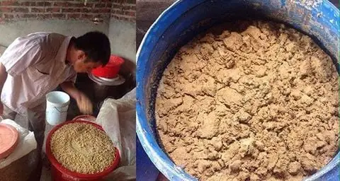 Hiệu Quả Của Em Thứ Cấp Trong Xử Lý Bùn Đáy Ao