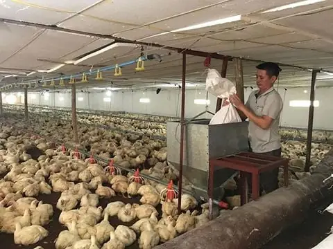 Cách Ủ Men Vi Sinh Em Tại Nhà Đúng Kỹ Thuật