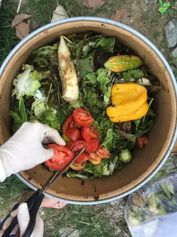 Kỹ Thuật Nhân Giống Em Thứ Cấp Phục Vụ Sản Xuất Nông Nghiệp