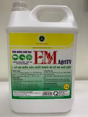 Sử Dụng Chế Phẩm Em Gốc Nuôi Cá Tra Giống Giúp Tăng Năng Suất