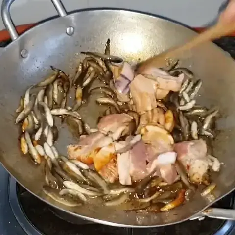 Nguồn Gốc Và Định Nghĩa Của Cá Lòng Ròng