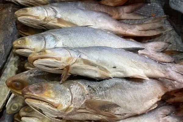 Cá Mặn Là Cá Gì? Cẩm Nang Toàn Diện Về Cá Muối Truyền Thống Việt Nam