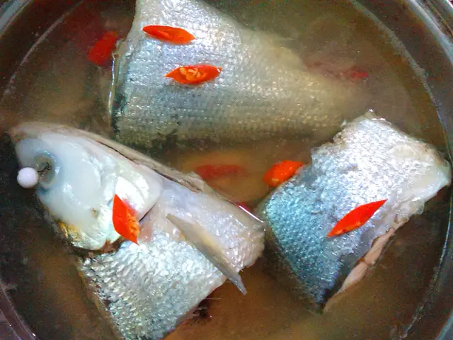 Lưu Ý Khi Mua Giống Cá Măng