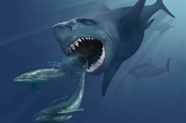 Cá Mập Khổng Lồ Megalodon Vẫn Còn Sống Dưới Biển Sâu?