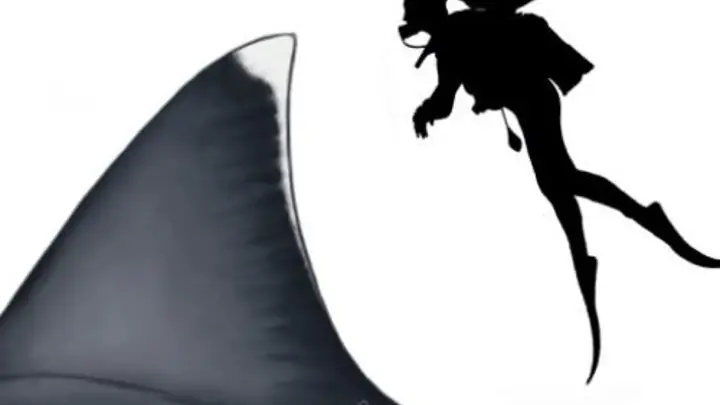 Cá Mập Megalodon Kích Thước