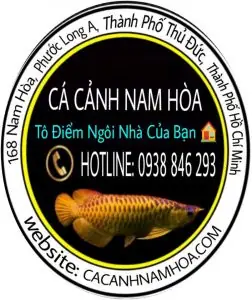 Tên Gọi Và Xuất Xứ: