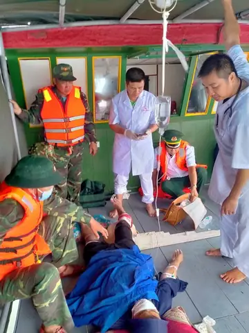 Cách Phòng Tránh Cá Mập Tấn Công Khi Tắm Biển - Ảnh 2.