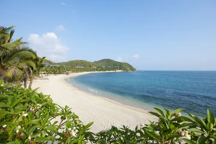 Lý Do Vịnh Tam Á Trong ‘cá Mập Siêu Bạo Chúa’ Thu Hút Du Khách Lý Do Vịnh Tam Á Trong ‘cá Mập Siêu Bạo Chúa’ Thu Hút Du Khách