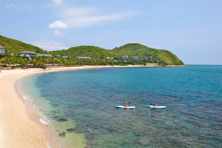 Lý Do Vịnh Tam Á Trong ‘cá Mập Siêu Bạo Chúa’ Thu Hút Du Khách Lý Do Vịnh Tam Á Trong ‘cá Mập Siêu Bạo Chúa’ Thu Hút Du Khách