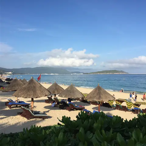 Lý Do Vịnh Tam Á Trong ‘cá Mập Siêu Bạo Chúa’ Thu Hút Du Khách Lý Do Vịnh Tam Á Trong ‘cá Mập Siêu Bạo Chúa’ Thu Hút Du Khách