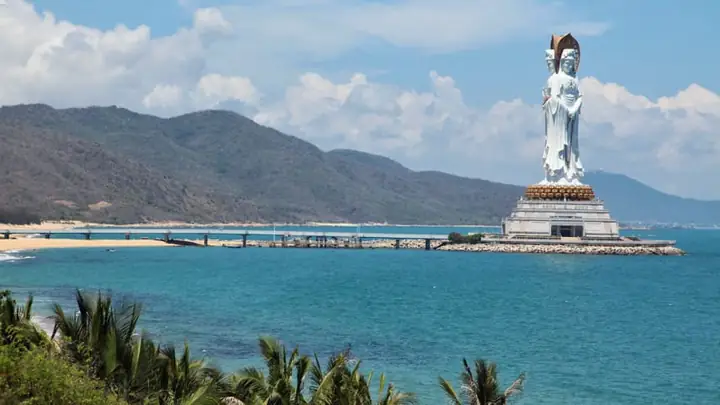 Lý Do Vịnh Tam Á Trong ‘cá Mập Siêu Bạo Chúa’ Thu Hút Du Khách Lý Do Vịnh Tam Á Trong ‘cá Mập Siêu Bạo Chúa’ Thu Hút Du Khách