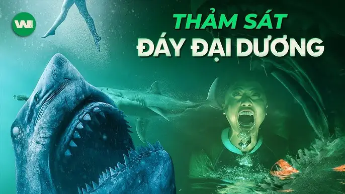 Cá Mập Trắng Khát Máu: Huyền Thoại Hay Sự Thật Về Siêu Săn Mồi Đại Dương?
