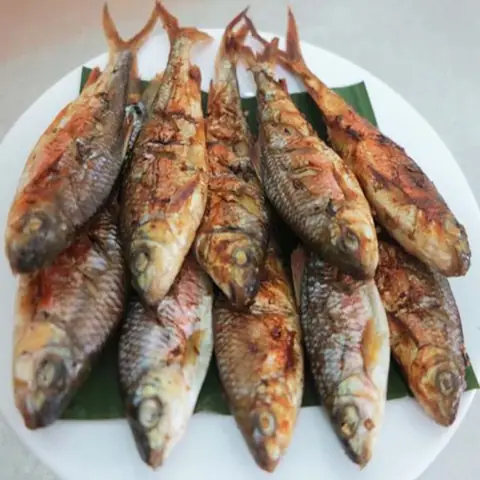 Cá Mát Nướng Than Hoa: