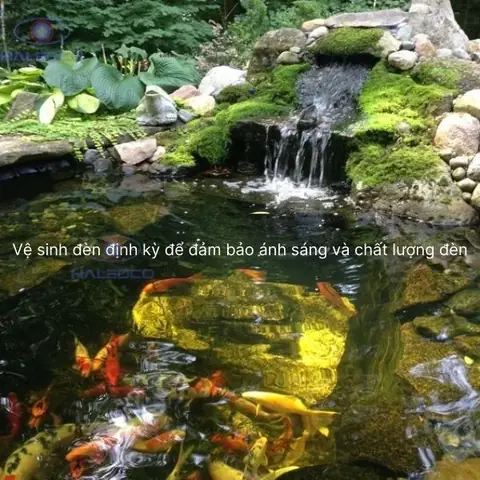 Vệ Sinh Đèn Định Kỳ