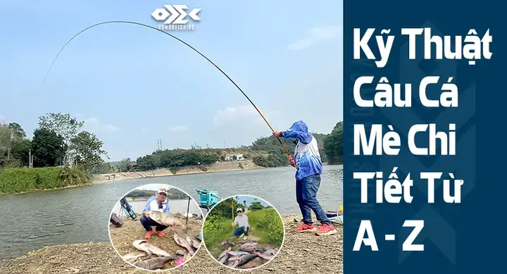 Cá Mè Và Cá Chép: Hai Chiến Lược Kiếm Ăn Khác Biệt