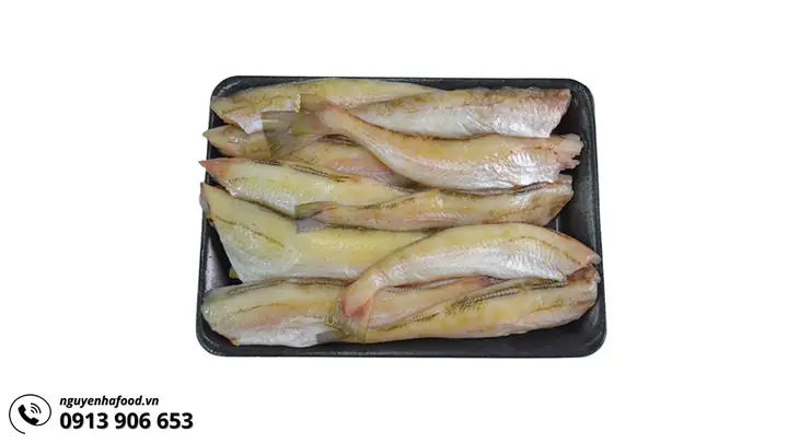 Cá Minh Thái Là Gì?