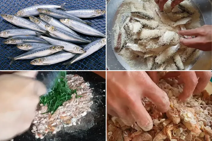 Gỏi Cá Mòi