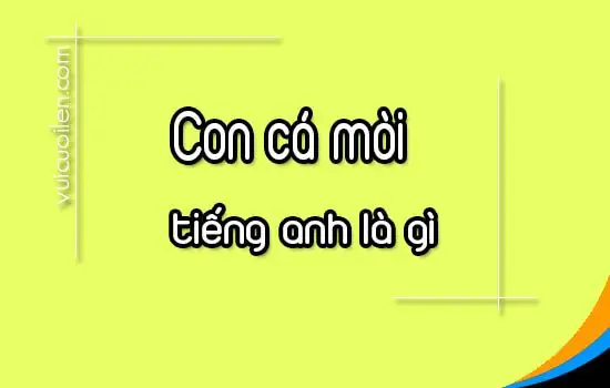 Con Cá Mòi Tiếng Anh Là Gì