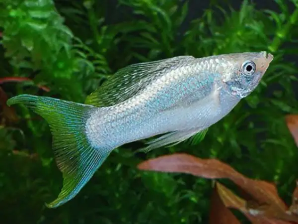 Kiểm Tra Và So Sánh Giá Bán Ở Nhiều Địa Chỉ